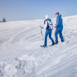 Hótalpas túrák a Dachstein West sírégióban