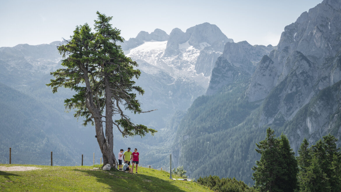 Túraparadicsom a Dachstein West régióban, a Zwieselalm legelő