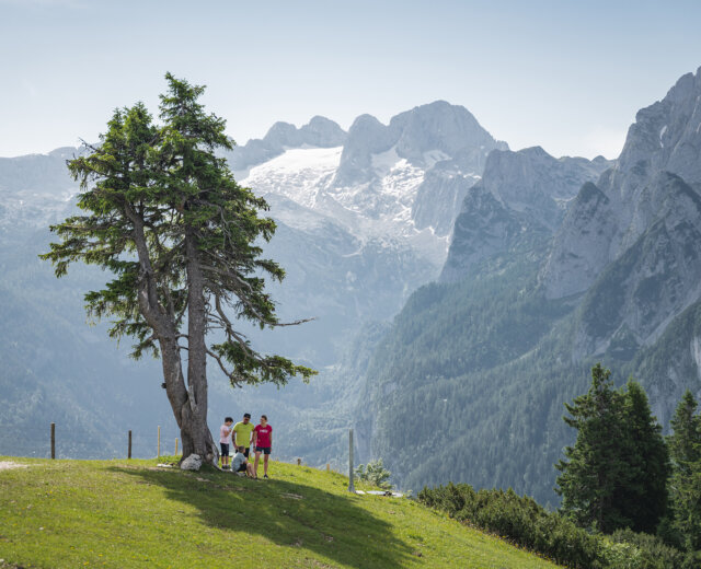 Zwieselalm (c) Dachstein Tourismus AG, ChrisEderMedia