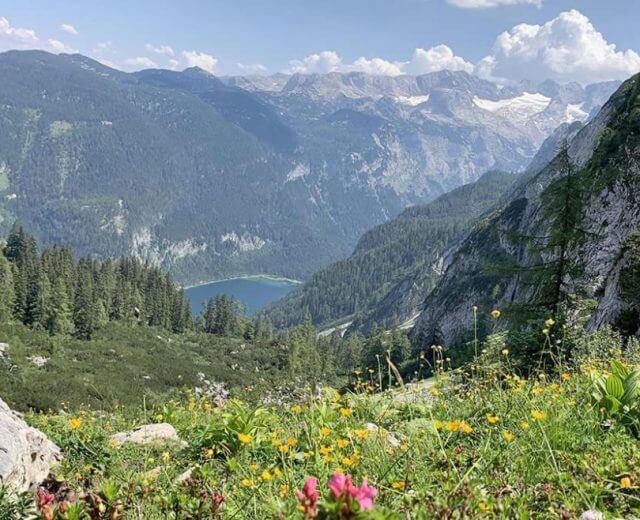 Túraparadicsom a Dachstein West régióban, a Zwieselalm legelő
