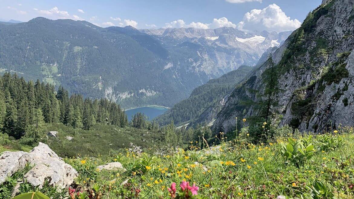 Túraparadicsom a Dachstein West régióban, a Zwieselalm legelő