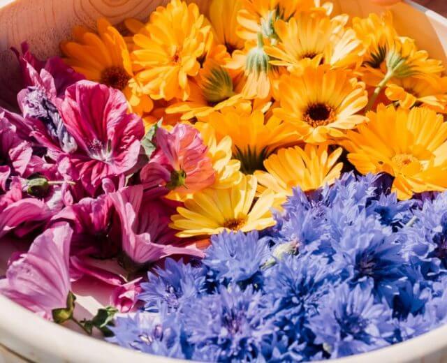 rs5199_genussreise_hohetauern–salzburgerland-tourismuschris-perkles-1920×658 Két ember által tartott, fából készült tál, vibráló virágokkal, nyári gyógynövény szezon ünnepén a szabadban.