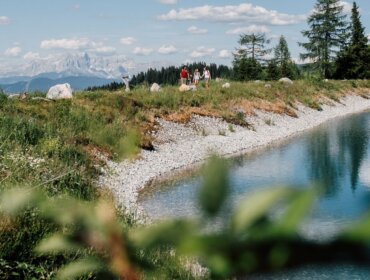 Görbe tópart vadvirágokkal, fákkal és távoli hegyekkel St. Johann Salzburgban nyár varázsa.