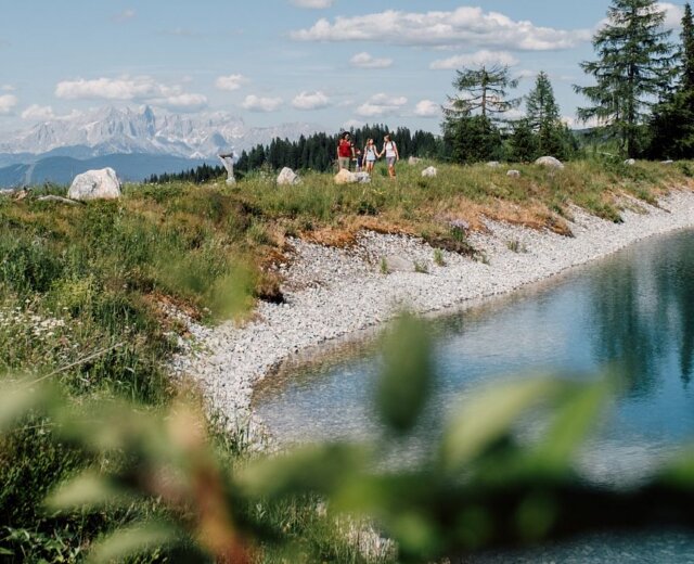 wandern-speicherteich-alpendorf-5 Görbe tópart vadvirágokkal, fákkal és távoli hegyekkel St. Johann Salzburgban nyár varázsa.