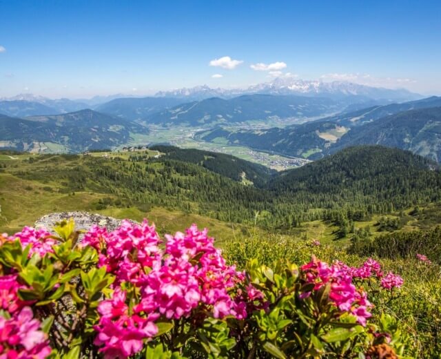 Nyár Flachau Nyár Flachau