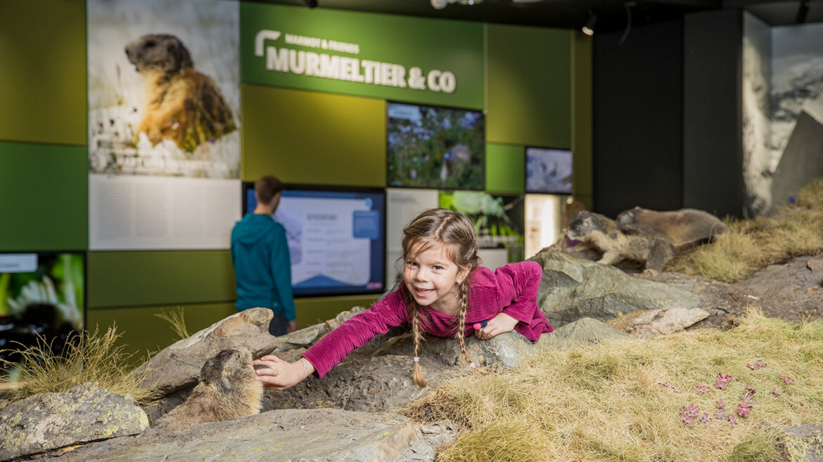 Mormota és társai_Lány© Neumayr/Christian Leopold, www.neumayr.cc, Nationalparkmuseum Egy fiatal lány mosolyogva nyúl egy mormota felé egy természettudományi múzeum kiállításán. (Nagyított nézet)
