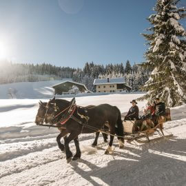 romantico giro in slitta trainata da cavalli nel Salisburghese