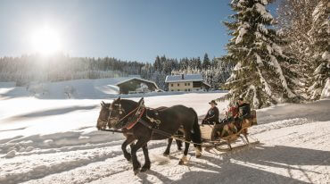 romantico giro in slitta trainata da cavalli nel Salisburghese