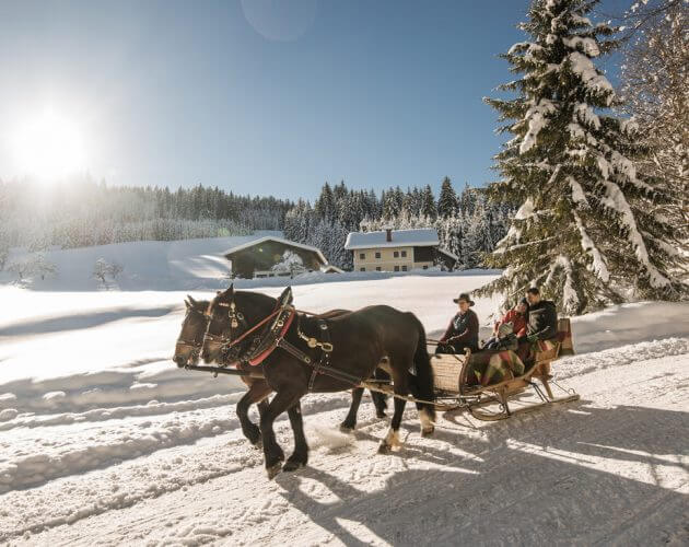 romantico giro in slitta trainata da cavalli nel Salisburghese