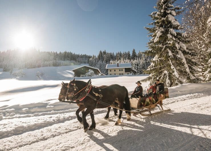 romantico giro in slitta trainata da cavalli nel Salisburghese