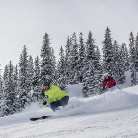 Sciare, nel Salisburghese, neve, foresta, inverno