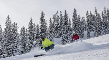 Sciare, nel Salisburghese, neve, foresta, inverno