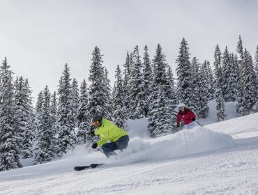 Sciare, nel Salisburghese, neve, foresta, inverno