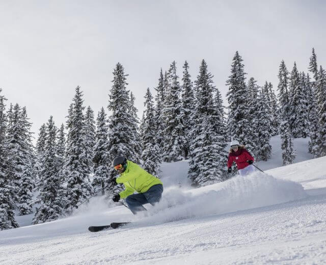 Sciare, nel Salisburghese, neve, foresta, inverno