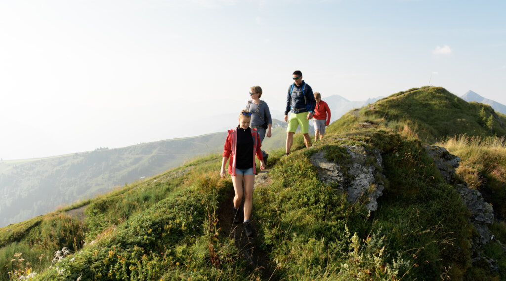 Quattro persone camminano lungo una cresta erbosa di montagna in una giornata di sole, circondati dal verde e da viste panoramiche.