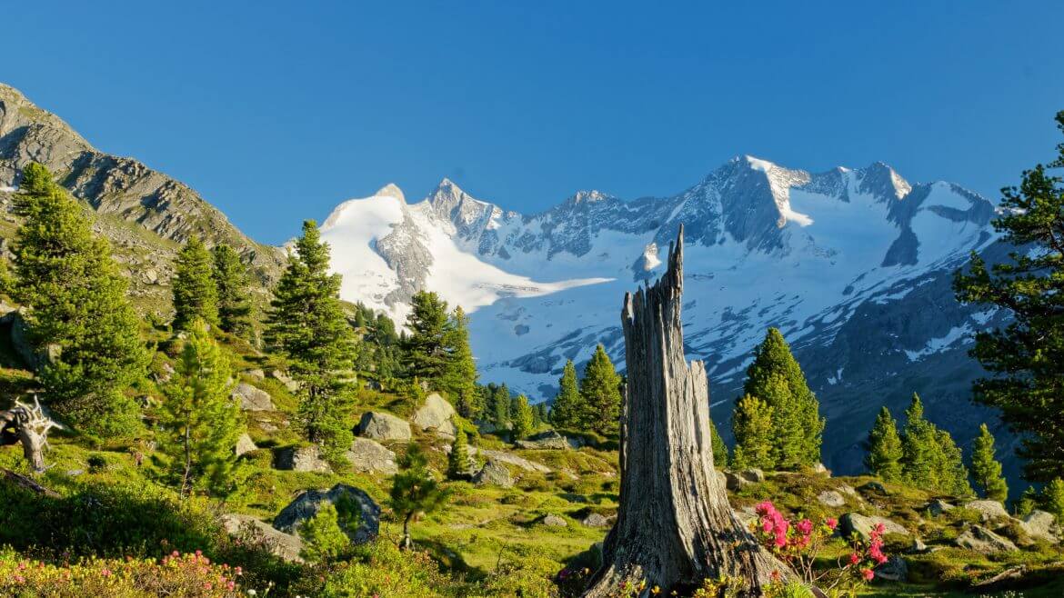 Nationalpark Hohe Tauern Bergpanorama