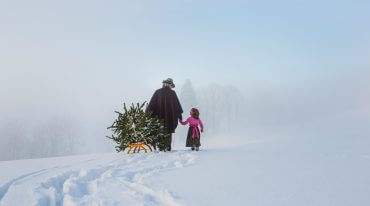 Albero di Natale