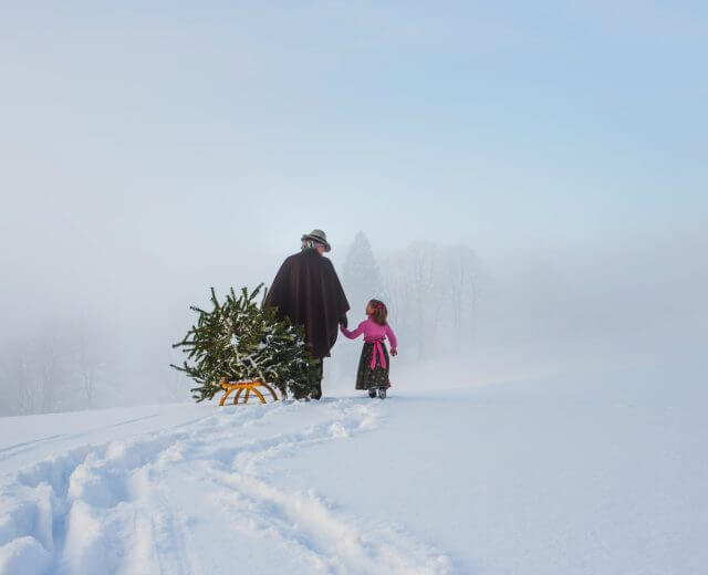 Christbaum holen Albero di Natale