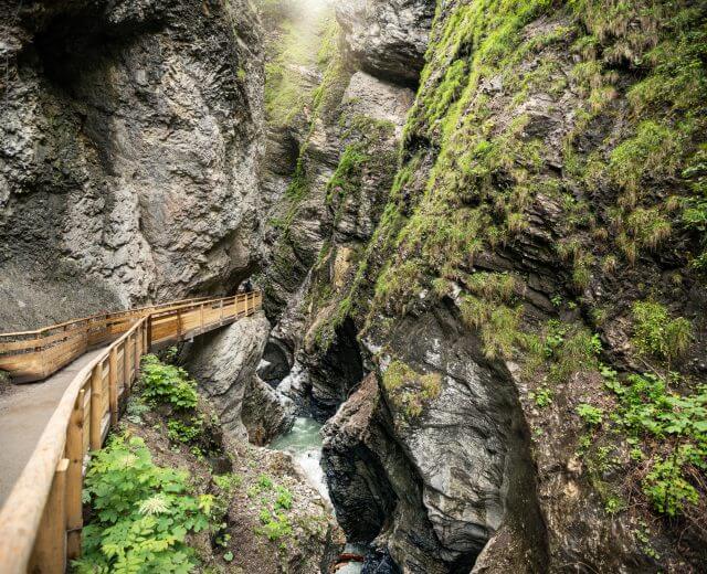 Il percorso nella gola.