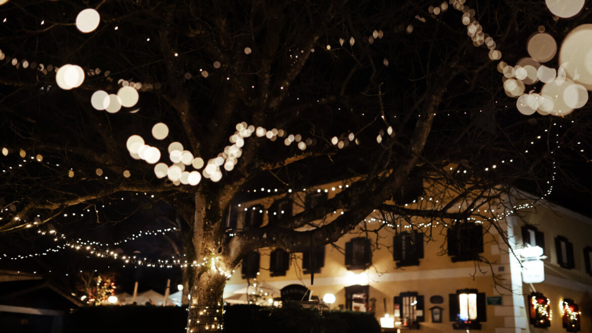 Albero di Natale illuminato nel cortile di una casa nella regione Attersee-Attergau nel Salzkammergut. (Vista ingrandita)