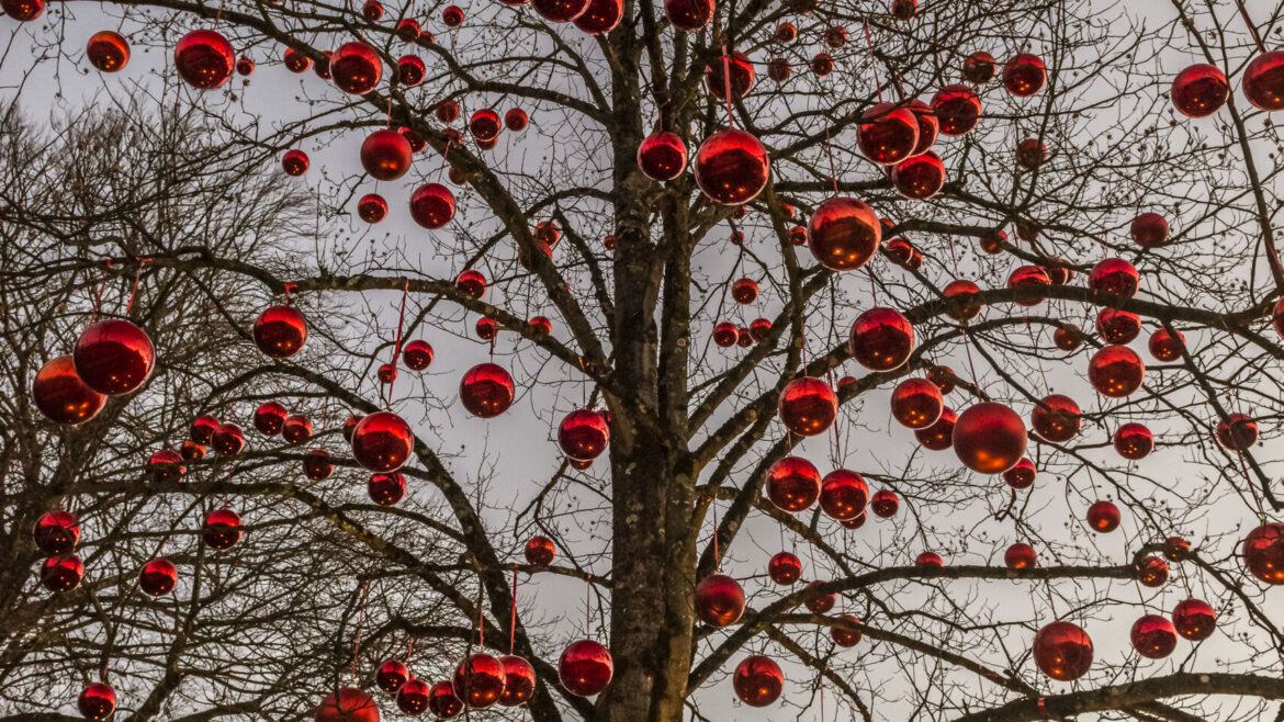 Albero decorato con sfere rosse nel parco di Hellbrunn durante la Magia dell’Avvento a Salisburgo (Vista ingrandita)