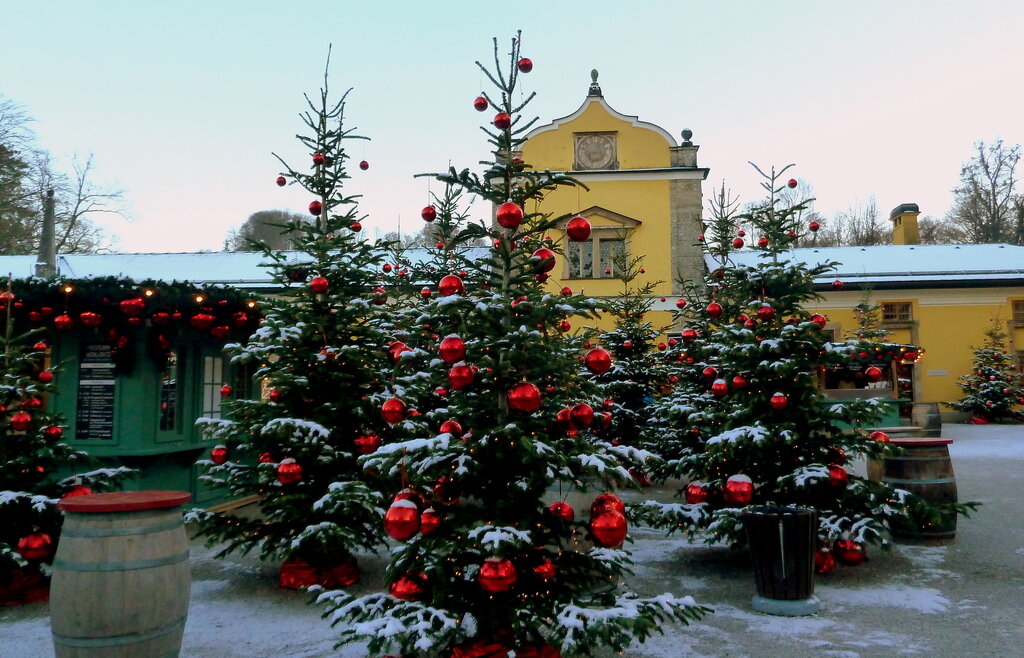 Alberi di Natale con palle rosse simbolo della Magia dell’Avvento di Hellbrunn a Salisburgo (Vista ingrandita)