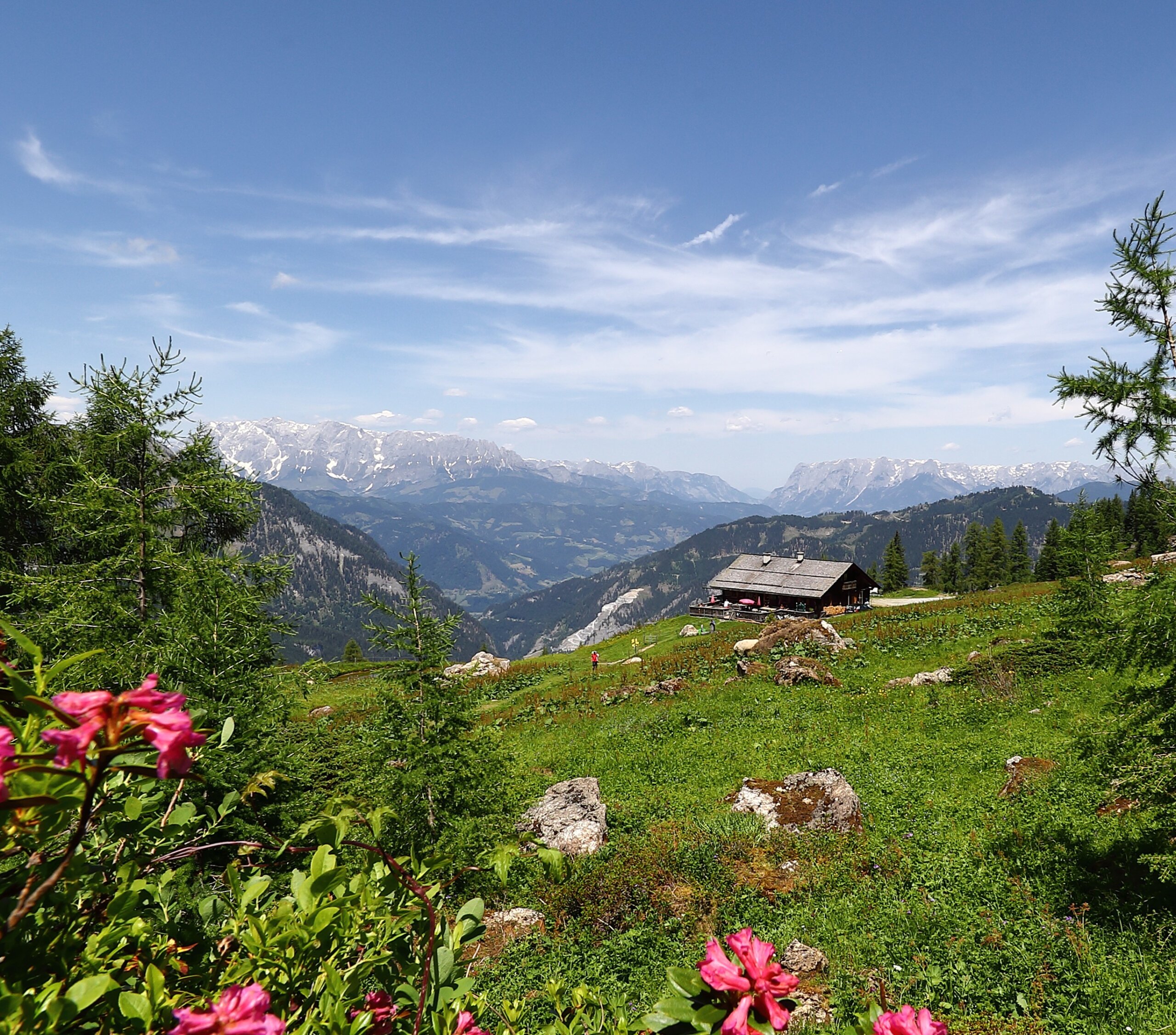 Saukaralm con vista sul Hochkönig e sul Tennengebirge Saukaralm nella Valle di Grossarltal nel Salisburghese con vista sull’Hochkönig rispettivamente sul Tennengebirge