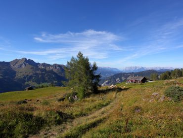 saukar-2016_titel-winter Een grassig bergpad in Grossarltal leidt naar een hut onder een blauwe hemel, omringd door bomen en verre bergtoppen.