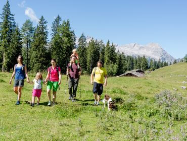 Groep met twee kinderen en een hond wandelen in het grasrijke Salzburger Saalachtal, omringd door bomen en blauwe lucht.