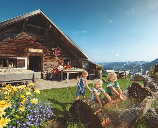 Familie auf der Alm Zomer in de Alpen