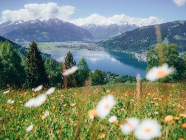 Wilde bloemen in een weiland kijken uit over een meer omringd door bergen onder een gedeeltelijk bewolkte hemel.
