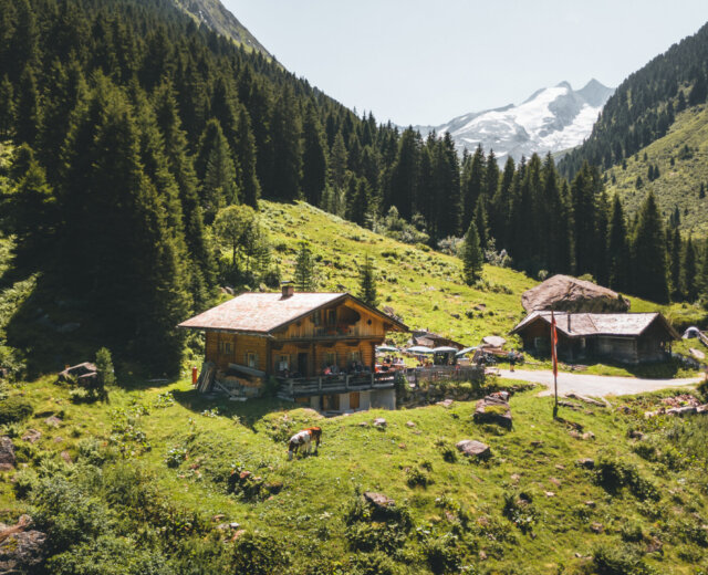 Trisslalm_Wildgerlostal_Hochkrimml_Trail ©Ferienregion Nationalpark Hohe Tauern; Daniel Kogler (5) Een houten hut staat in een groene bergvallei met bomen en besneeuwde bergtoppen op de achtergrond.
