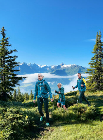 Drie mensen wandelen op een bergpad met wandelstokken, pijnbomen en besneeuwde bergtoppen op de achtergrond.