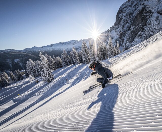 Skiën in Dachstein West ©MirjaGeh Een skiër die over een geprepareerde besneeuwde helling carvet, terwijl de zon schijnt over de besneeuwde bomen en bergen.