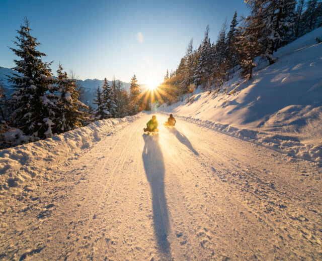 Rodeln (2) Twee mensen sleeën over een besneeuwde bergweg bij zonsondergang, omringd door besneeuwde bomen.