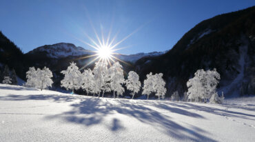 Diep besneeuwd winterlandschap met negen sneeuwwitte bomen, stralende zon en blauwe lucht.