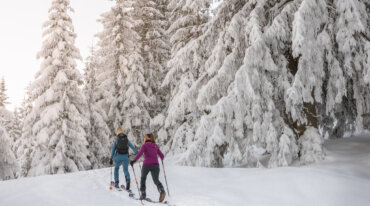 Twee skitoerers trekken door een sprookjesachtig, met diepe sneeuw bedekt bos.