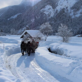 St. Martin winter paardenkoetsrit temidden van een diep besneeuwd winterlandschap bij prachtig weer.