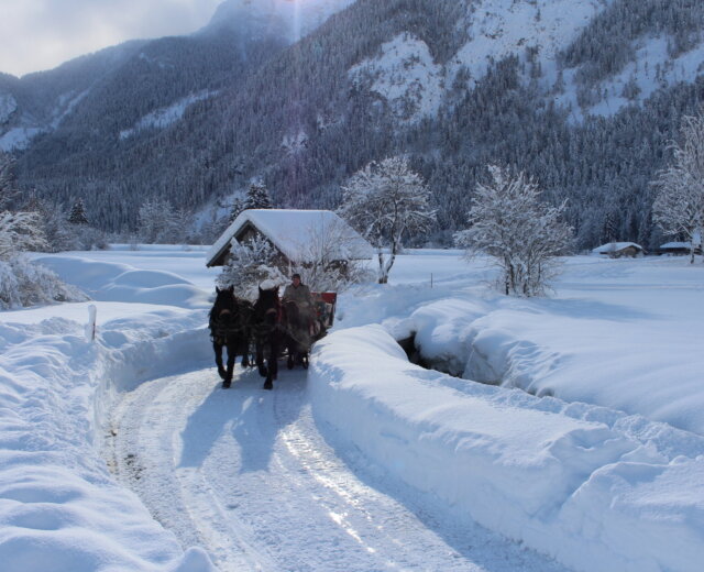 St. Martin winter paardenkoetsrit temidden van een diep besneeuwd winterlandschap bij prachtig weer.