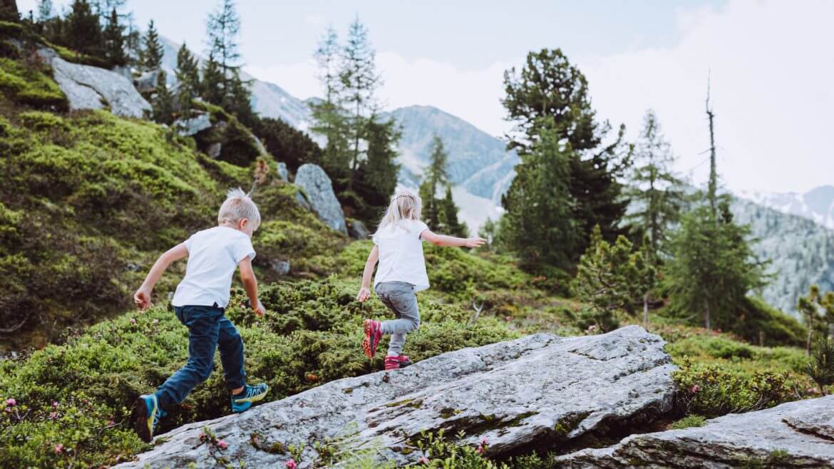 Wędrówka szlakiem limbowym na Graukogel w Gastein jest dla dzieci niezwykłą przygodą na łonie natury.