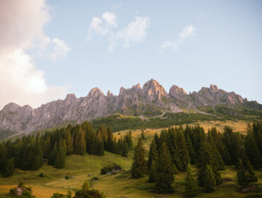 Poszarpane szczyty Hochkönig wznoszą się za wiecznie zielonymi lasami pod czystym niebem o wschodzie lub zachodzie słońca.