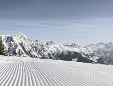 Ośnieżone góry z przygotowanymi trasami narciarskimi i samotne drzewo pod czystym, błękitnym niebem.