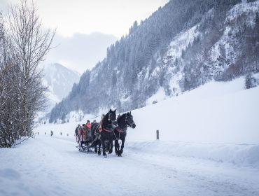 Sanie ciągnięte przez konie suną przez Zima w Raurisertal, mijając ośnieżone góry i zimowe drzewa.