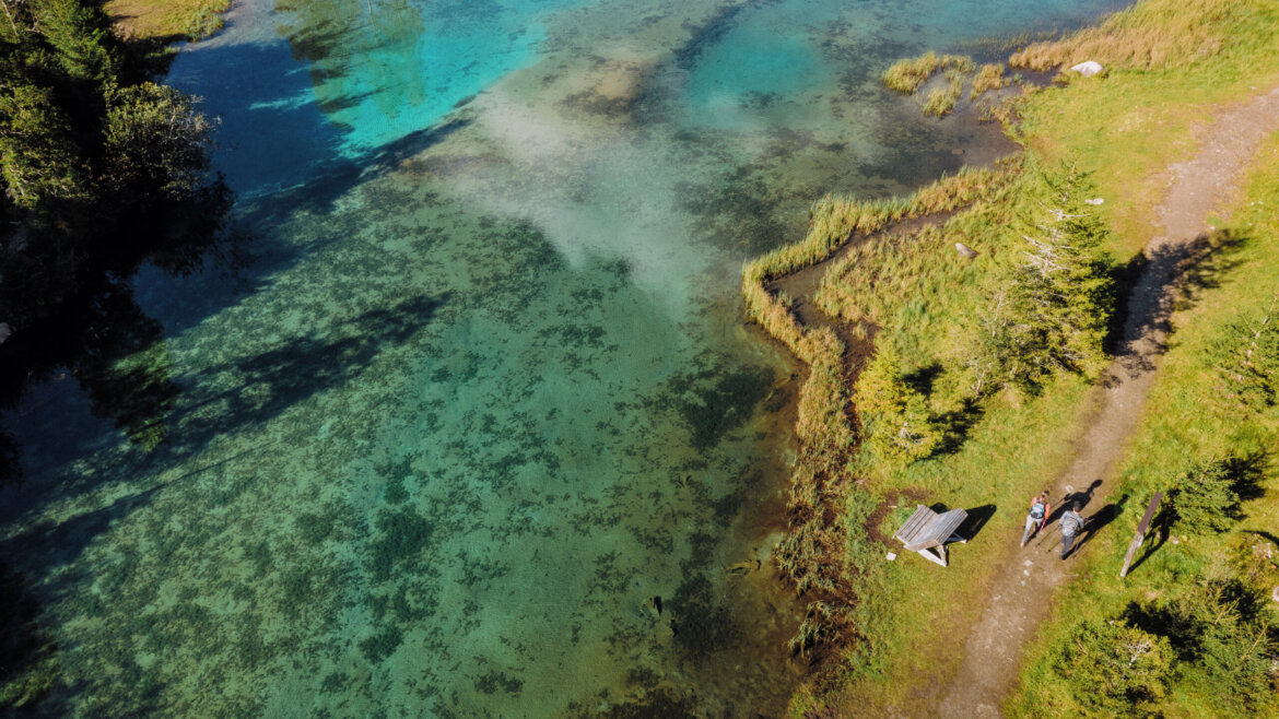 Widok z lotu ptaka na ludzi spacerujących nad turkusowym jeziorem Wildkogel-Arena z trawiastym brzegiem i rozrzuconymi drzewami.
