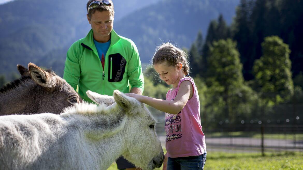 Wakacje z rodziną w Obertauern urozmaicą wycieczki do zwierzyńca, gdzie dzieci mogą głaskać oswojone zwierzęta.