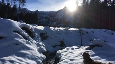 Dolina Bluntautal, na południe od Salzburga, w strojnej zimowej szacie.Winterimpressionen aus dem SalzburgerLand