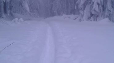 Lasy i drogi na salzburskej górze Gaisberg toną w śnieżnym puchu. Salzburska zima na zdjęciach.