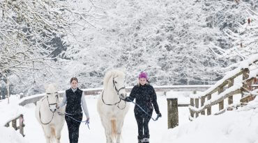 Wędrówka w towarzystwie koni trasą pokrytą śnieżnym puchem to jedna z atrakcji zimowej agroturystyki na Ziemi Salzburskiej.