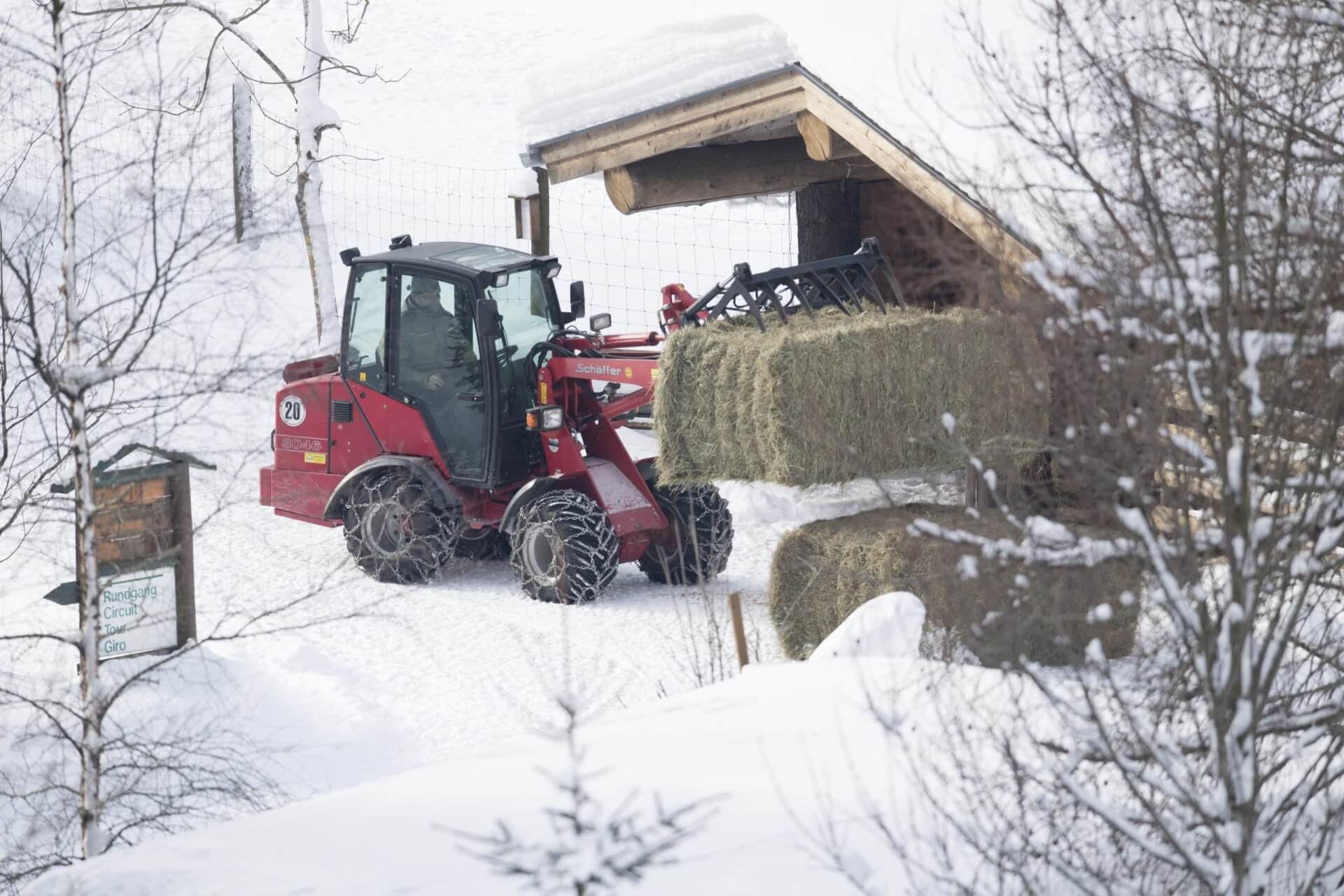 Winter im Wildpark Ferleiten