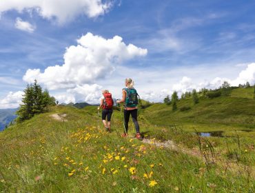 Dwóch wędrowców z plecakami eksploruje trawiasty górski szlak w Ski amadé pod błękitnym niebem z białymi chmurami.